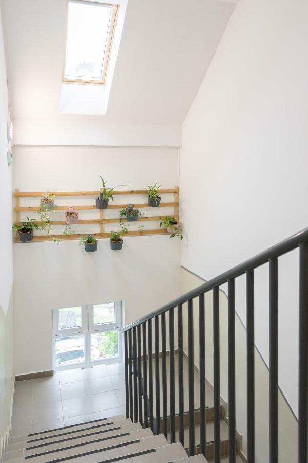 Apartmani Mursa أوسييك المظهر الخارجي الصورة