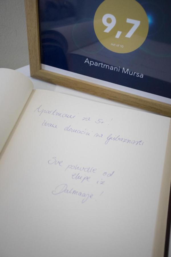 Apartmani Mursa أوسييك المظهر الخارجي الصورة